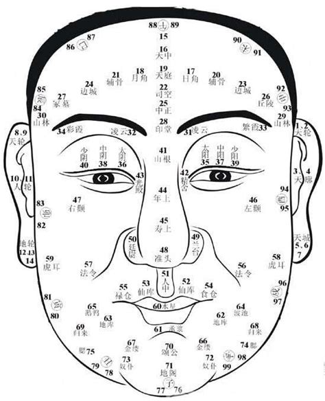 面相 金木水火土|從面相上看，你屬於五行金木水火土的哪種人？